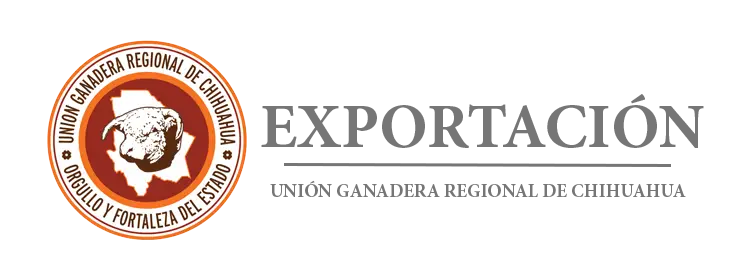 LOGO_EXPORT
