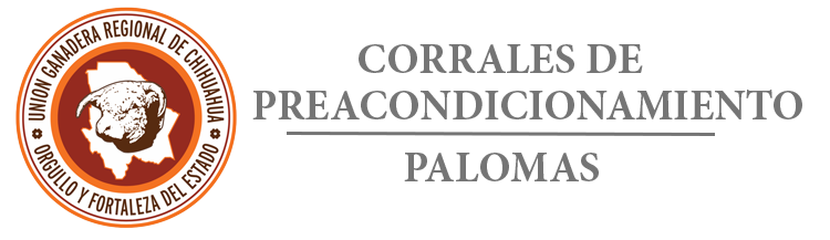 LOGO_PALOMAS