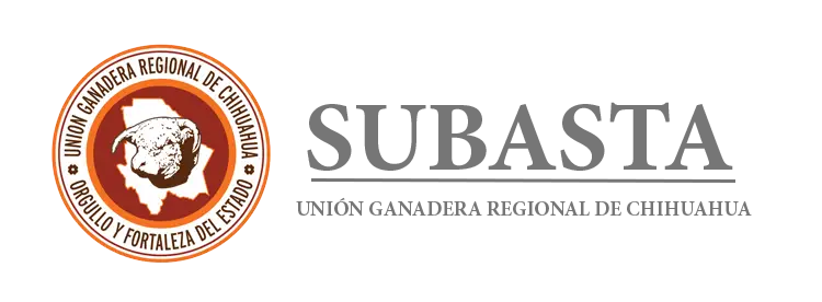 LOGO_SUBASTA